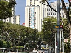 Kai Fook Mansion (D3), Apartment #556108671